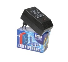 ЗУ "Электроника ЗУ-05"