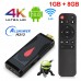 Медиаплеер Орбита OT-DVB30, 1+8Gb
