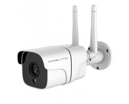 Камера Wi-Fi Орбита OT-VNI48 (SmartLife), 2Мп, 1920x1080, Wi-Fi, уличная