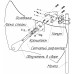 Антенна MIG Parabola 2.6-24 MIMO, 1710-2700MHz 24dBi 2xF-female