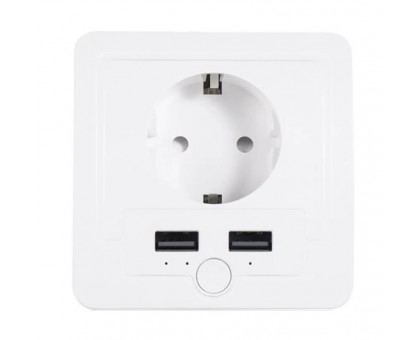 Умная розетка Орбита OT-HOS15 (1 гнездо, 16А, Wi-Fi, 2xUSB)